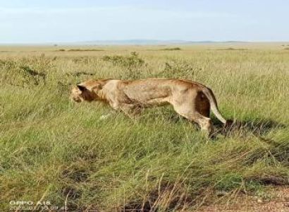 Budget Mara Package Full Board 4Pax