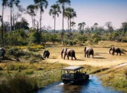 6 Days Tanzania Budget Camping Safari Tour