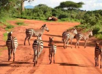 3 Days 2 Nights Safari To Tsavo East National Park From Mombasa