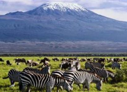 3 Days Amboseli National Park Tour