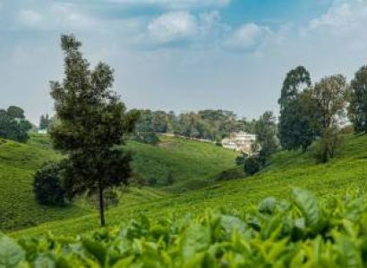 5 Days, 4 Nights Nairobi City Tour