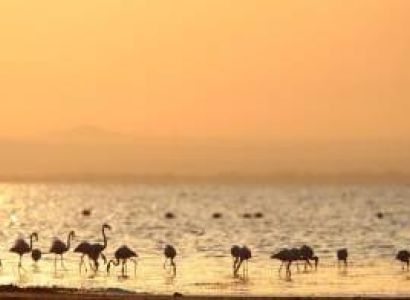 14 Days Tanzania Wildlife Safari - Zanzibar Beach Vacation Tour