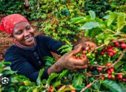 15  Days of Adventure, Wildlife and Community Work