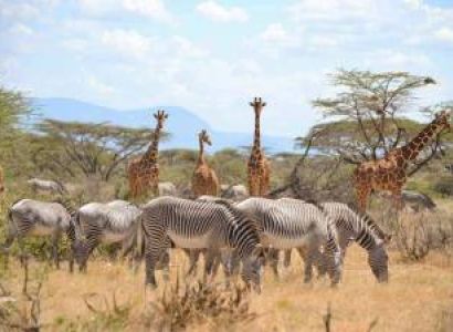10 Days And 9 Nights Kenya Tour Package