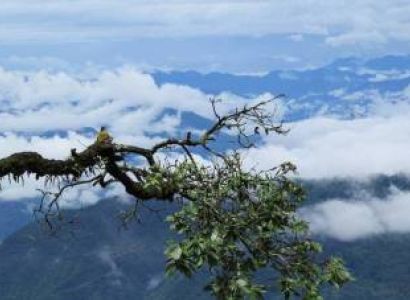 3 Night Lansdowne Tour Package