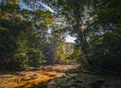 5 Days - 4 Nights Port Blair - Havelock Only Tour