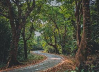 7 Days - 6 Nights Port Blair - Havelock Tour