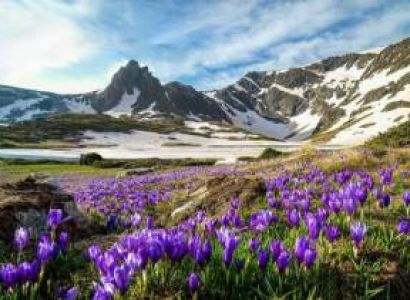 Romance in Paradise – Kashmir Honeymoon Special - 05 Nights 06 Days