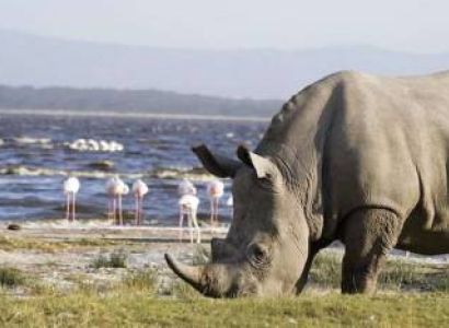 4 Day Bush To Beach Standard Safari Tour