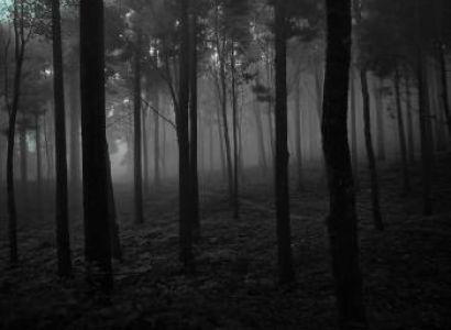 2 Nights 3 Days Dajeelings Tour Package