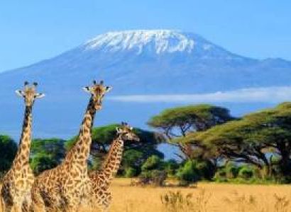 3 Days - 2 Nights Wild Luxury Tour To Ol Pejeta