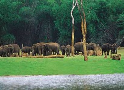 Munnar - Thekkady Tour In 3 Days