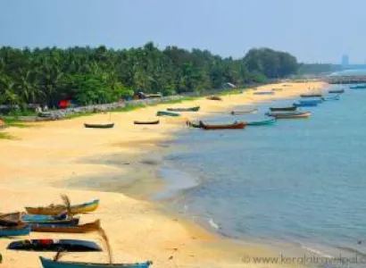 Wayanad With Kappad Beach 3 Days Tour