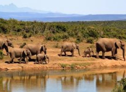 2 Days 1 Night Luxury Safari Tarangire & Ngorongoro Crater Safari