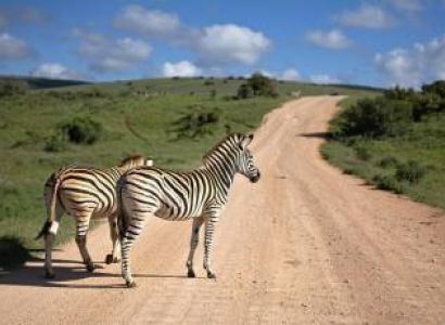 6 Days 5 Nights Tarangire Serengeti Ngorongoro Crater Lake Manyara Safari
