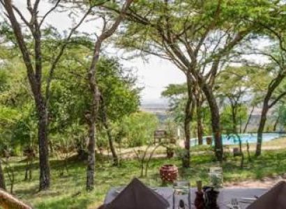 3 Days Safari Kifaru Tour