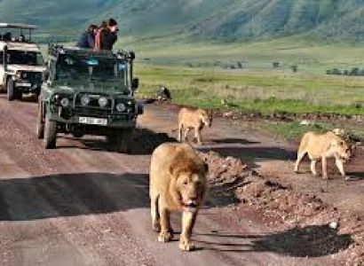 3 Days Safari Simba Tour