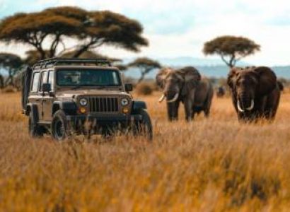 5 Days Safari Big 5 Tour