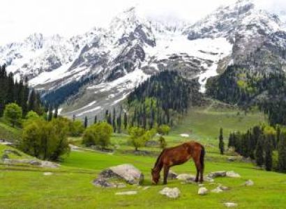 Kashmir Tour 4 Nights - 5 Days