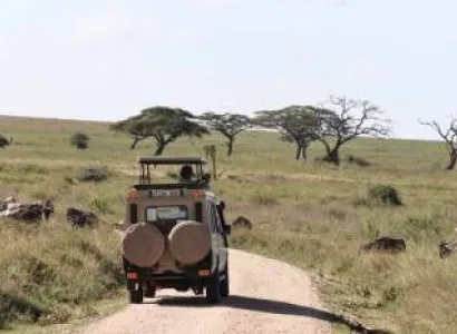 7 Day Budget Safari Adventure In Tanzania Tour