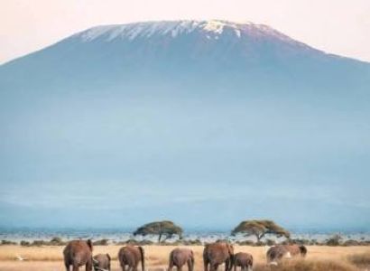 3 days 2 nights Amboseli Adventure