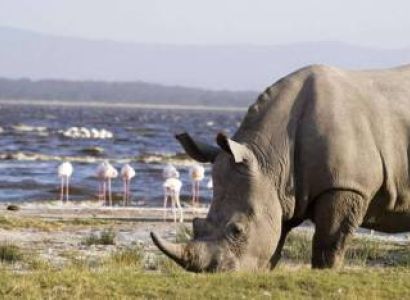 Kenya - Tanzania Tour 8 Day - 7 Night