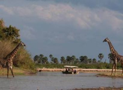 2 Days - 1 Night Selous Safari Tour From Zanzibar