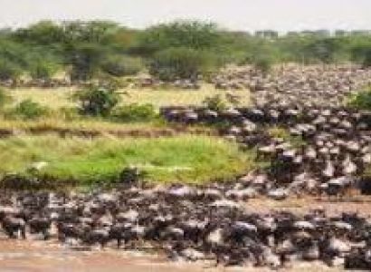 7 Days - 6 Nights Maasai Mara National Reserve Tour