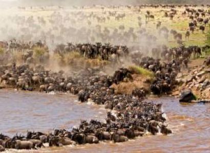 7 Days Splendid Family Safari Tour