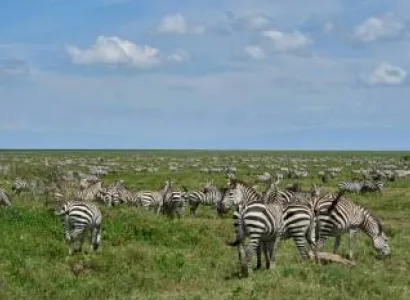 1 Day Ngoro Ngoro Crater Day Tour