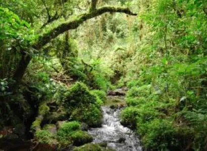 1 Day Mandara Day Trip