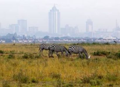 Nairobi Day Trip