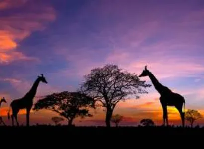 6 Nights 7 Days Bush To Beach Tour