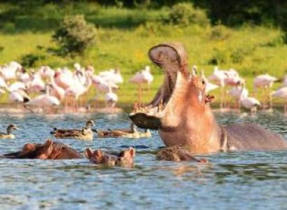 6 Days 5 Night Bush Adventure