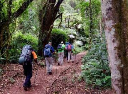 8 Days Kilimanjaro - Lemosho Route Tour