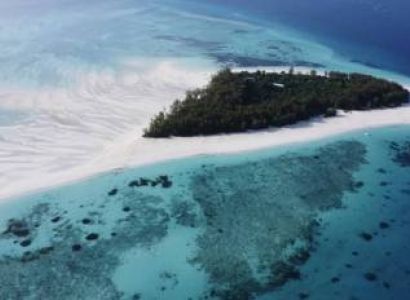 1 Day Mnemba Island Tour