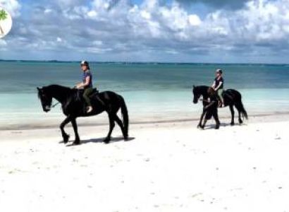 1 Day Horse Back-Riding Tour