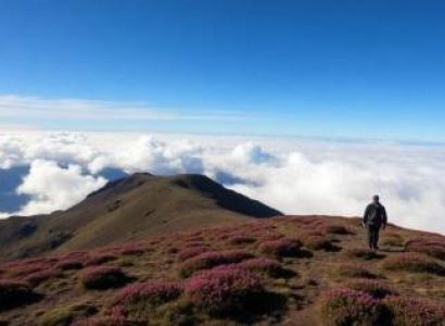 8 Days Lemosho Route Tour