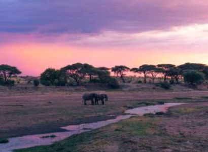 1 Day Katavi National Park Tour