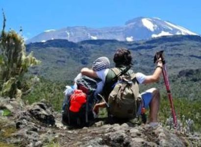 1 Day Mkomazi National Park Tour