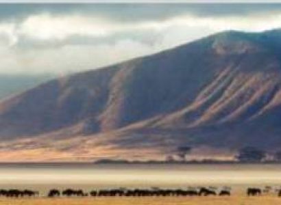 1 Day Rubondo Island National Park Tour