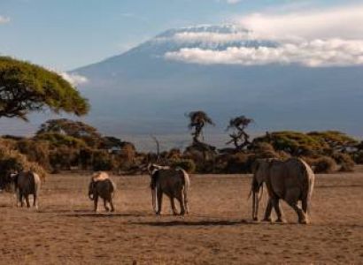 Machame Route - 8 Days Tour