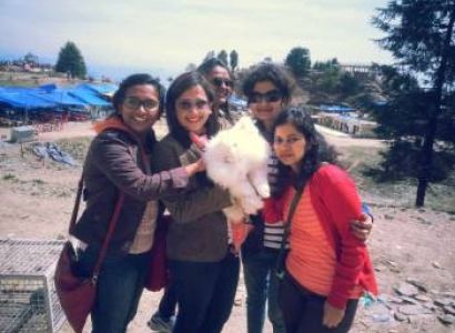 2 Night Women Special Shimla - Chail Package