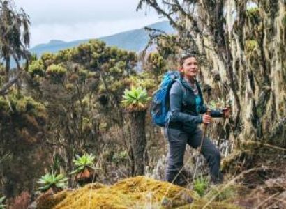 Umbwe Route - 6 Days Steep - Challenging Tour