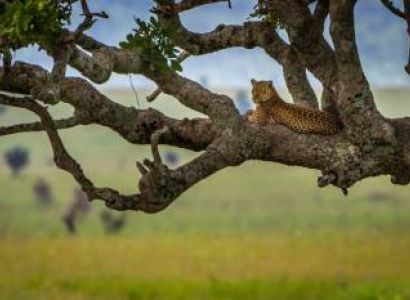 DUMA SAFARI – 5 NIGHTS / 6 DAYS