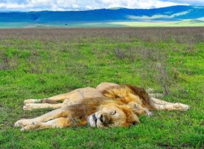 2-Day Zanzibar to Ngorongoro Crater & Tarangire Tour