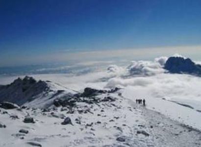 Lemosho Route 8 Days - Mount Kilimanjaro Climbing Tour