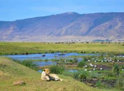 Ngorongoro Crater Day Trip