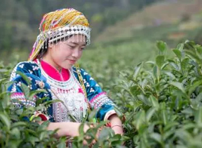 We Love Georgia 7N - 8D Tour