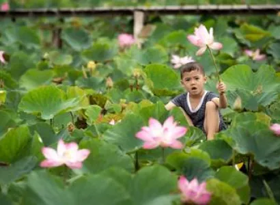 Glimpse Of Vietnam 6N - 7D Tour